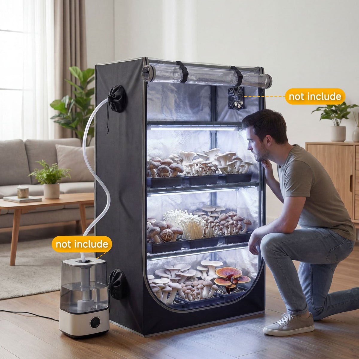 Mushroom Grow Tent Setup: Is It Worth It? - CoverUltra