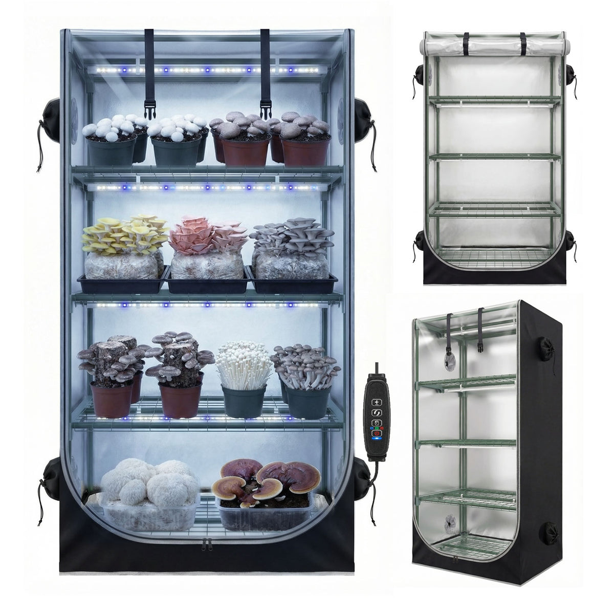 Mushroom grow tent kit 27.5x20x65 inch front view with transparent roll-up door